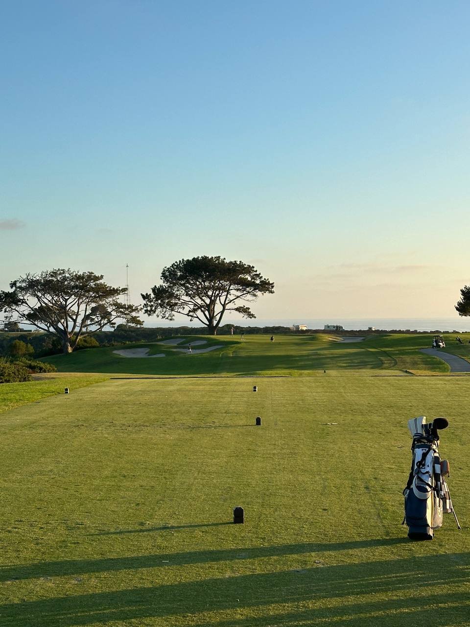 Golf bag on Torrey Pines tee box