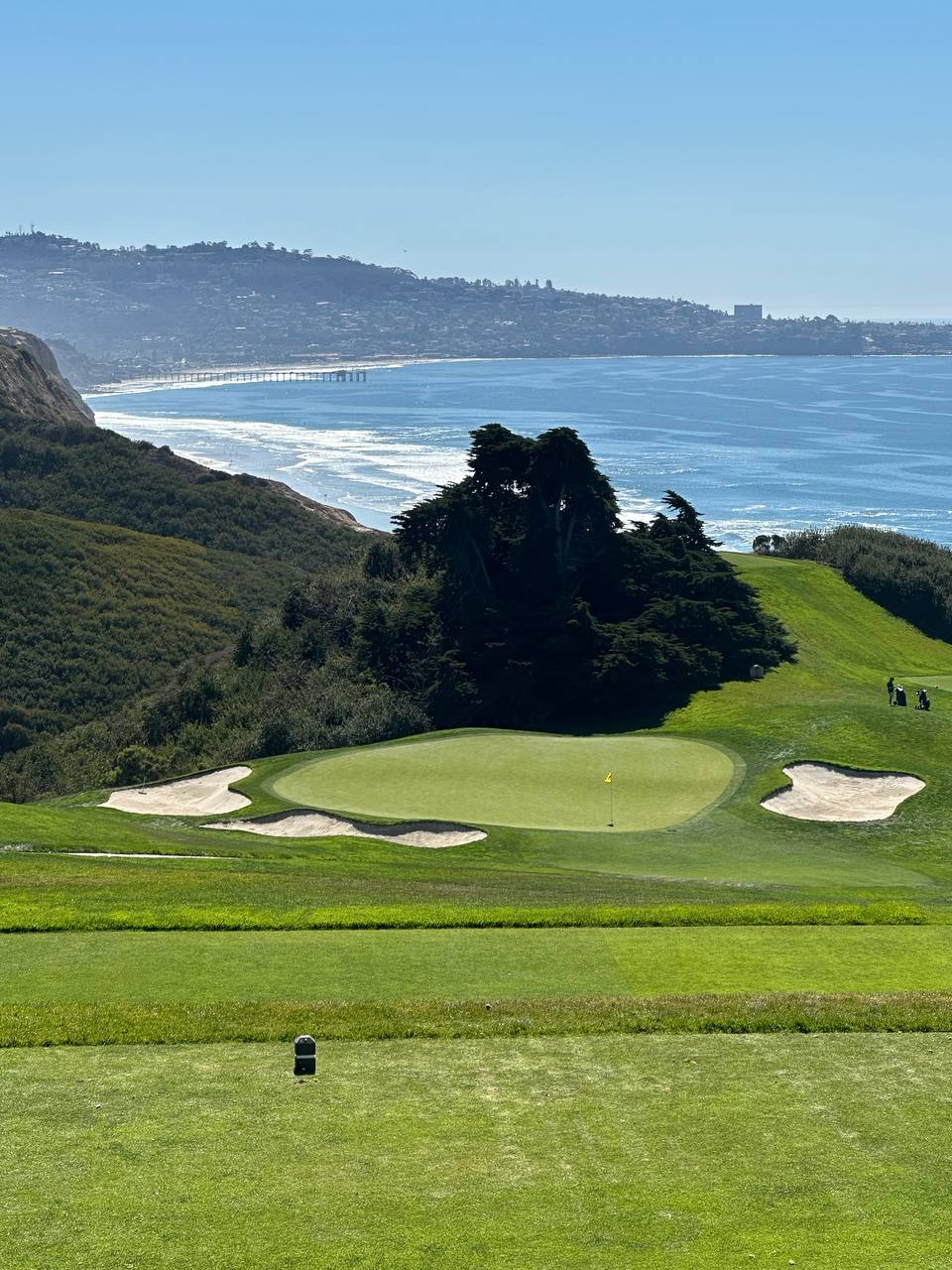 Torrey Pines green with ocean view